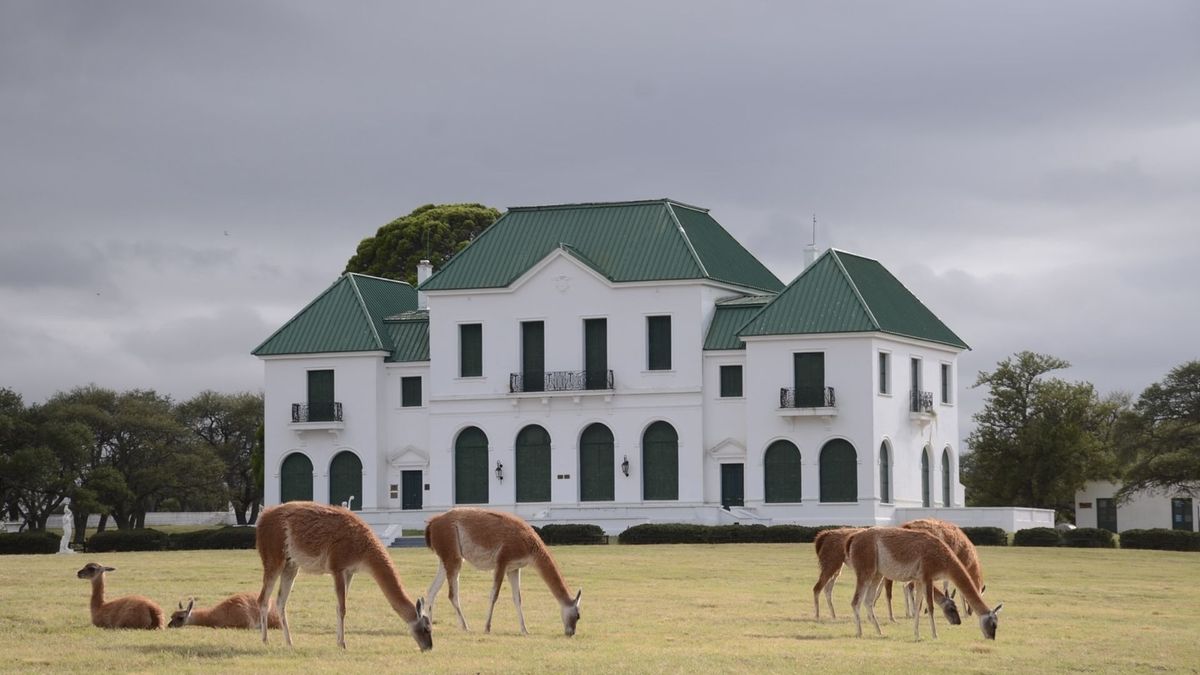 El Parque Luro es uno de los imperdibles de La Pampa.
