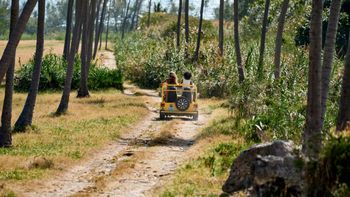 Descubre las magníficas aventuras que esperan por ti en Barbados. 