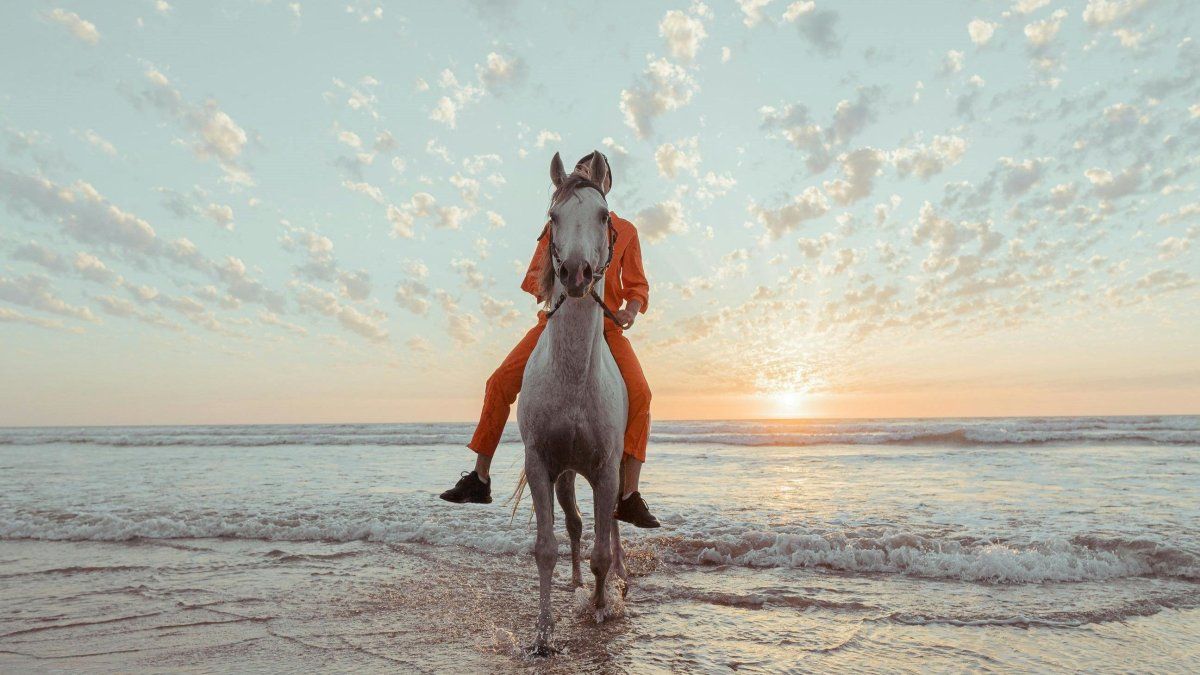 Verano 2026 en Mar del Plata: la Oceánica al Amanecer es una experiencia con cupos limitados (imagen ilustrativa). Verano 2026 en Mar del Plata: la Oceánica al Amanecer es una experiencia con cupos limitados (imagen ilustrativa).