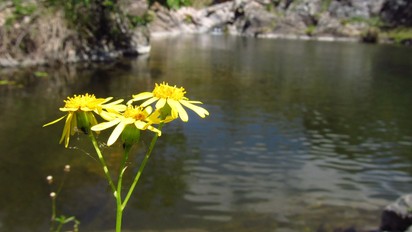 3 balnearios para vivir un verano refrescante en Córdoba