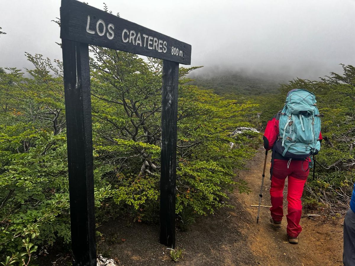 Sendero Los Cráteres, a 15 kilómetros de Pucón, es una de las rutas que se mantienen activas para el turismo.