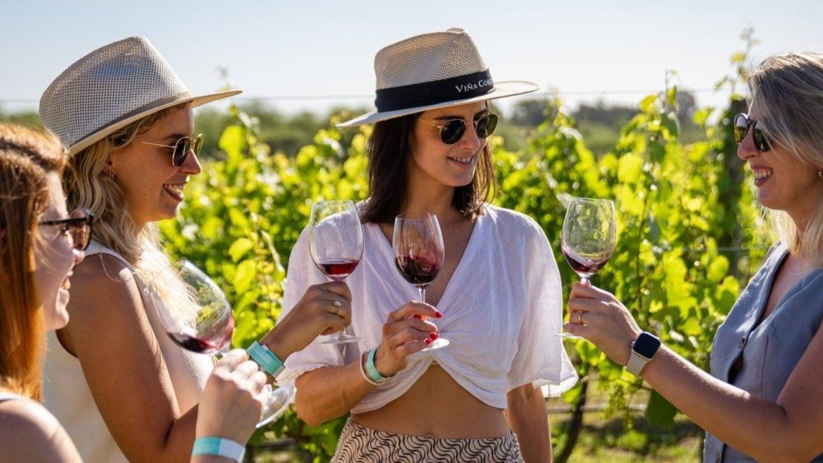 Escapadas: BuenosAires ya cuenta con más de 10 bodegas que conforman la Ruta del Vino en laprovincia.&nbsp;