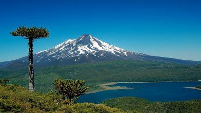 El Sello S permitirá llevar la Marca Chile