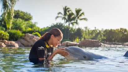 La compañía privilegia el cuidado de la vida animal.