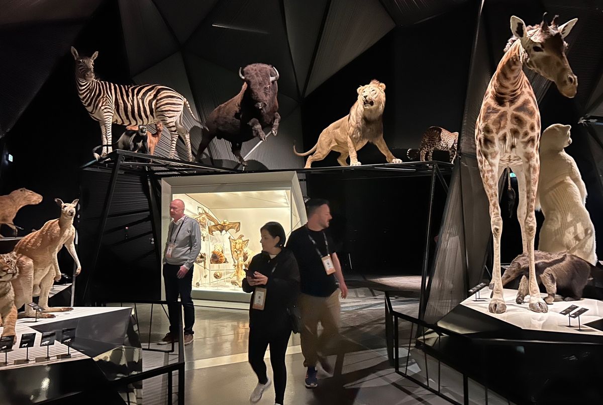 La sala dedicada a los animales llama la atención por su composición.