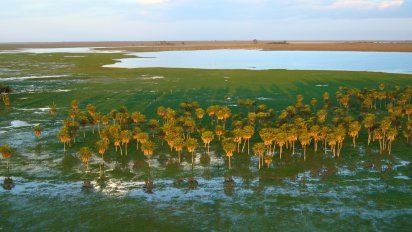 Rewilding trabaja por recuperar la naturaleza en Argentina