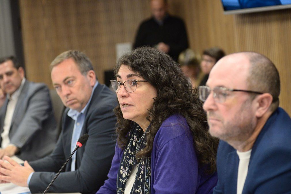 La diputada Ana María Ianni impulsa un nuevo feriado turístico: intendentes y legisladores apoyan.