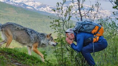 Visita este parque de vida silvestre en el norte de Europa