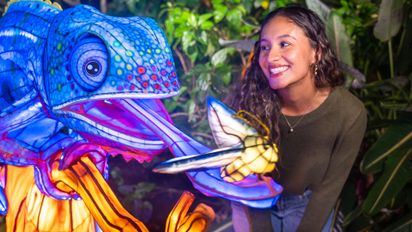 Aquatica Orlando estrena ILLUMINATE: el primer festival nocturno de linternas