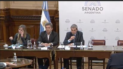 El proyecto de Maurice Closs obtuvo dictamen favorable de la Comisión de Presupuesto y Hacienda del Senado y será tratado en recinto. Turismo expectante.