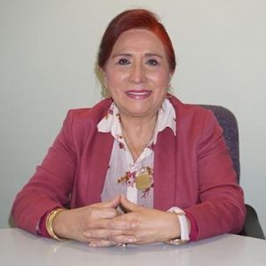 - Ladevi Medios y Soluciones