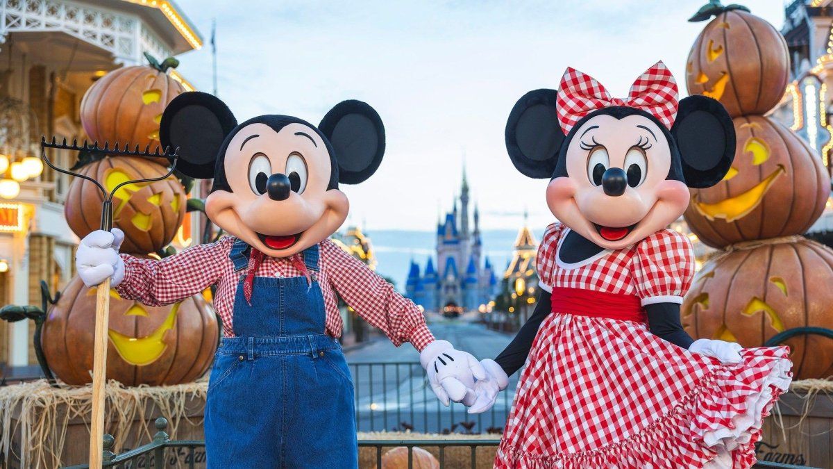 Actualmente se puede conseguir paquetes muy económicos para viajar a Walt Disney World Resort desde Argentina. 