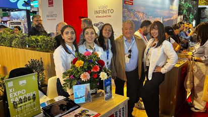 Pucón: ¿En qué va el regreso de vuelos comerciales con Santiago?