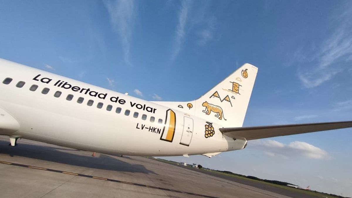 Vuelos cancelados: la provincia de Buenos Aires acusa de irregularidades a Flybondi. Multa millonaria para la low cost, que niega la sanción.