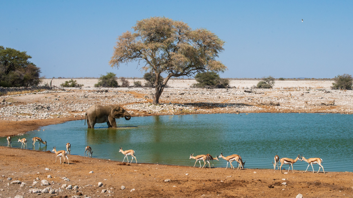Explora los encantos de Namibia en tus vacaciones en África.