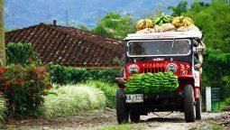 El café es uno de los productos turísticos más buscados de Colombia.