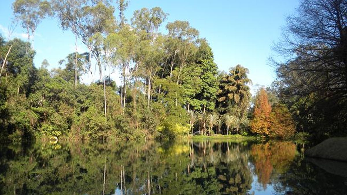 Desde el jardín