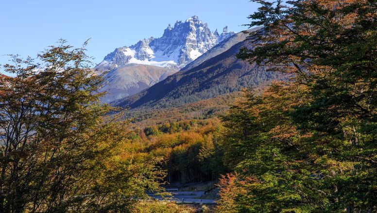 El parque Cerro Castillo junto a los Ojos del Salado son los primeros destinos de Chile y Latinoamérica en conseguir el reconocimiento.&nbsp;