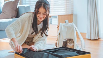 Colombia: todo lo que debes saber para viajar con mascotas