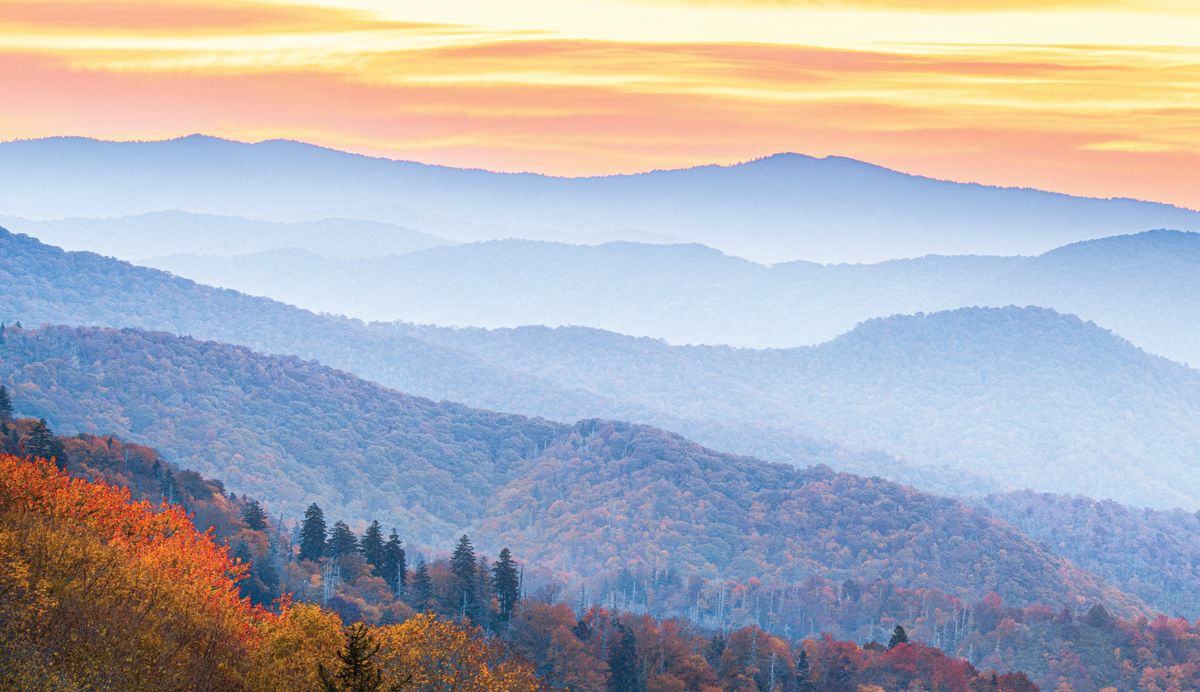 Juan Toselli International Tours: el Great Smoky Mountains es considerado uno de los mejores lugares de Estados Unidos para disfrutar el otoño.
