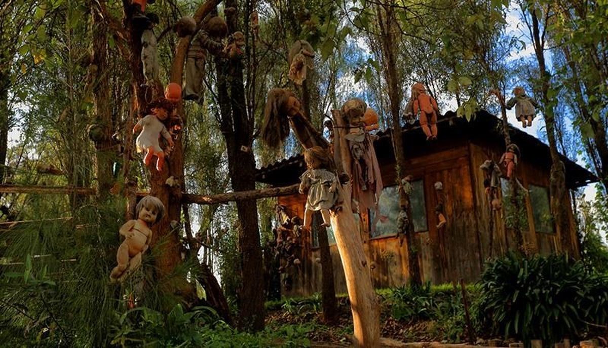 Conoce la escalofriante La Isla de las Muñecas en Xochimilco al sur de CDMX.