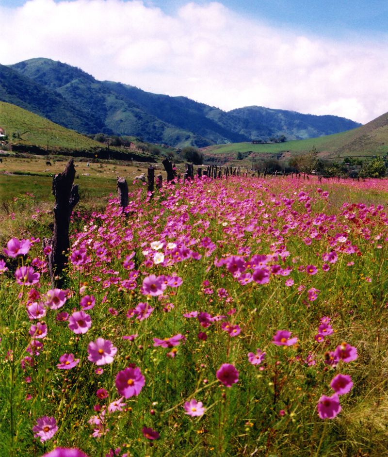 Cada estación del año, Tucumán cambia los colores de sus más bellos escenarios.