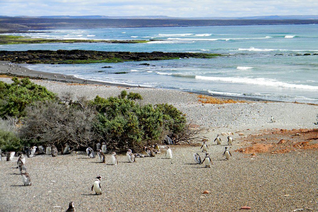 Trelew, pasado ancestral y tradición galesa
