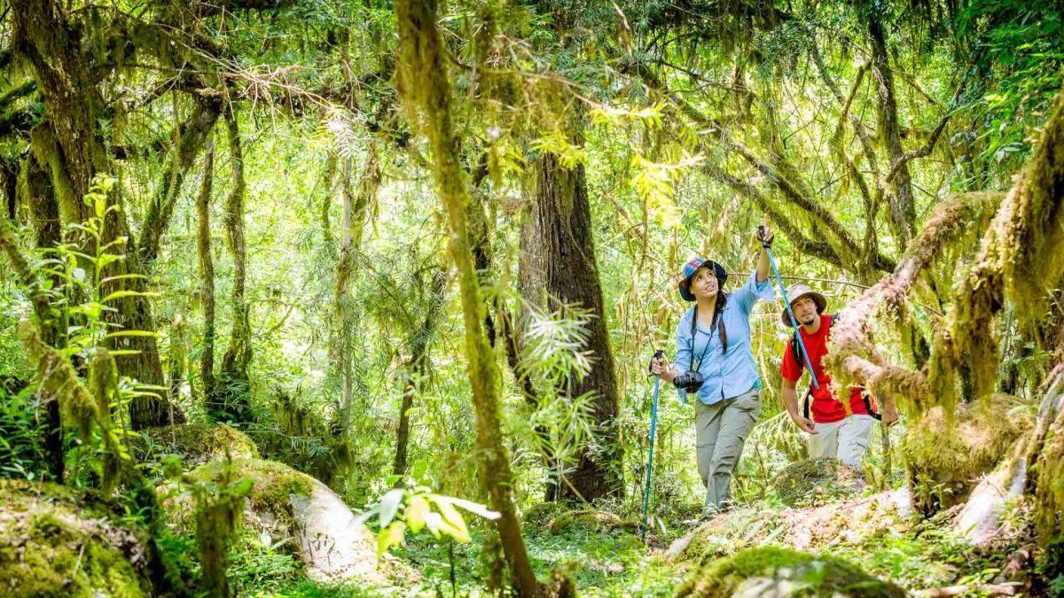 Descubrí los secretos del Parque Nacional Baritú en Salta.