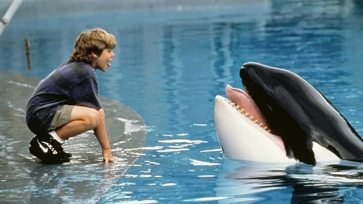 Dsscubre la historia de la ballena que vivió en Six Flags
