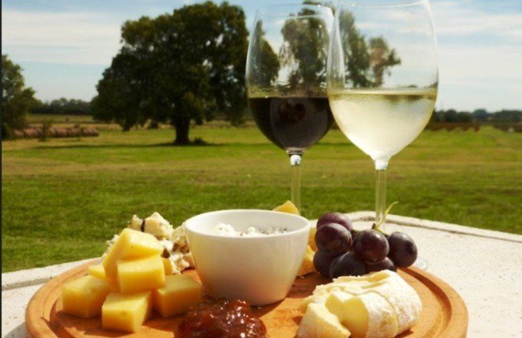 Uruguay se destaca por sus vinos tannat. En Colonia, además, las bodegas desarrollan más de 20 varietales con clásicos como el cabernet sauvignon, merlot o riesling, y sus dos destacados: malbec y syrah.