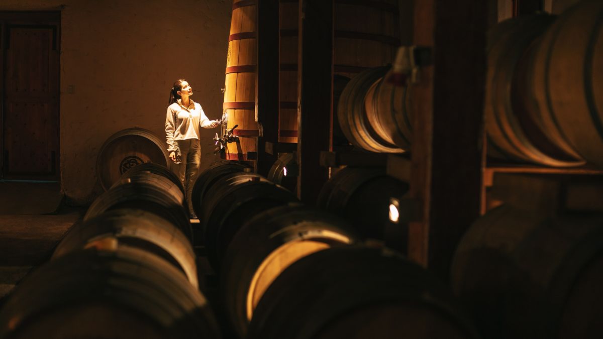 Región de Ñuble: el Valle del Itata es el corazón vitivinícola ancestral de Ñuble.