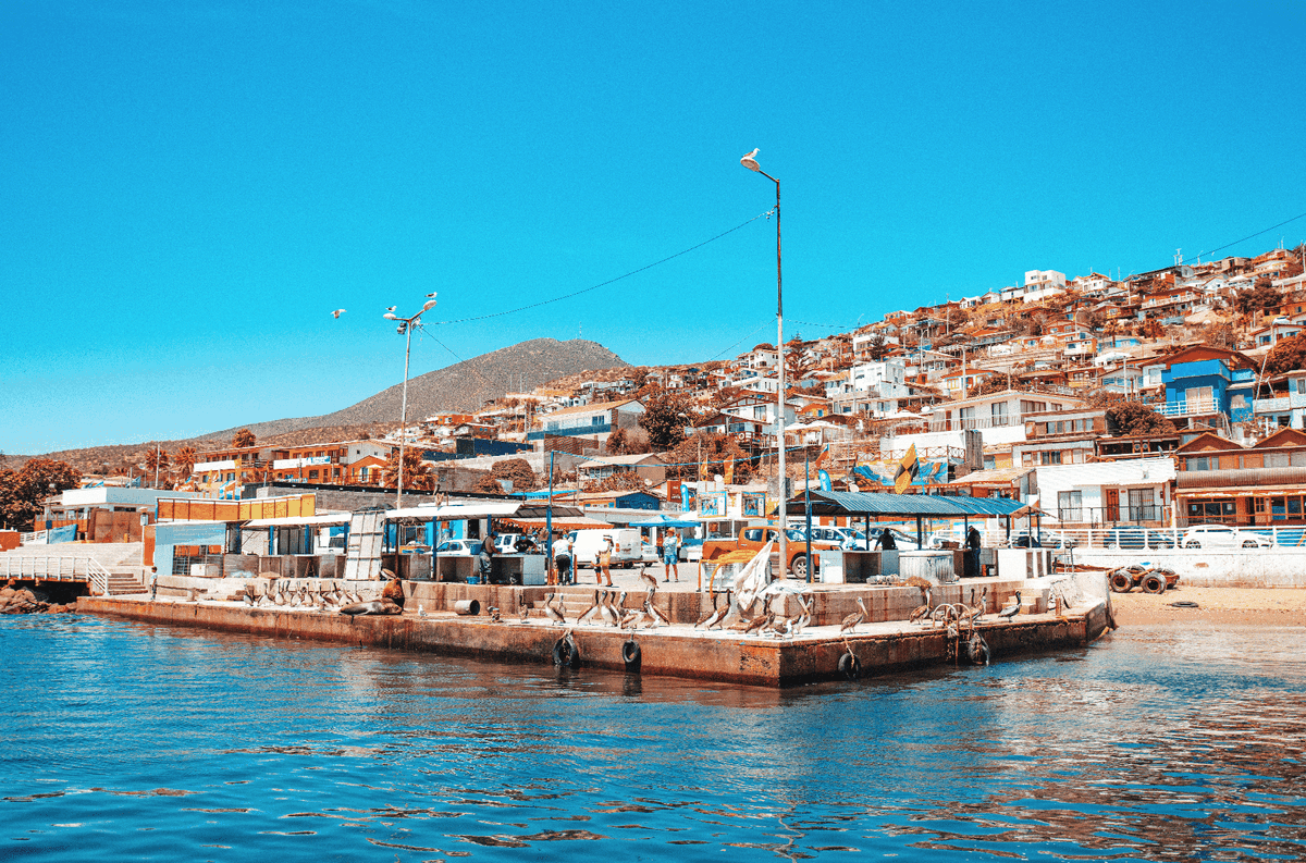 Guanaqueros es una buena alternativa para quien busca descanso sin multitudes.