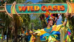 altText(Busch Gardens abre Wild Oasis, el espacio infantil más grande de Estados Unidos)}