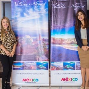 - Ladevi Medios y Soluciones