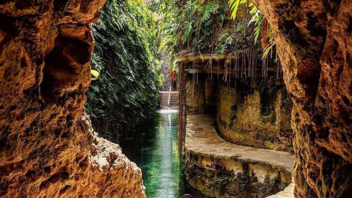 ¿Qué hacer en Yucatán? 3 cenotes que debes visitar