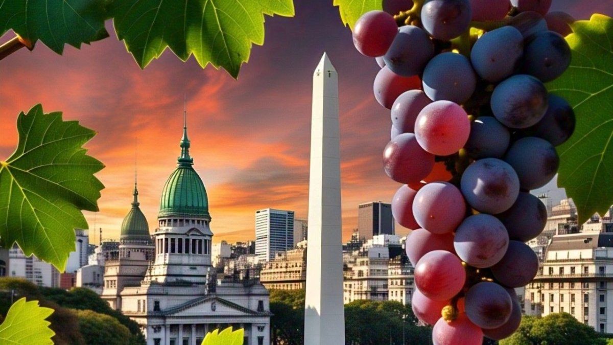 Buenos Aires ya tiene el viñedo urbano más impactante de Latinoamérica.