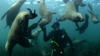 Bucear en Puerto Madryn: una aventura única y accesible para todos