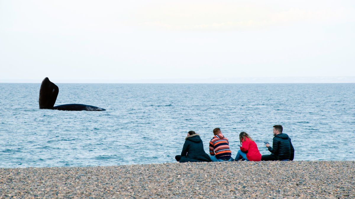 El Doradillo es uno de los mejores lugares para avistar ballenas. El Doradillo es uno de los mejores lugares para avistar ballenas.