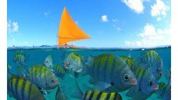 5 imperdibles de pernambuco