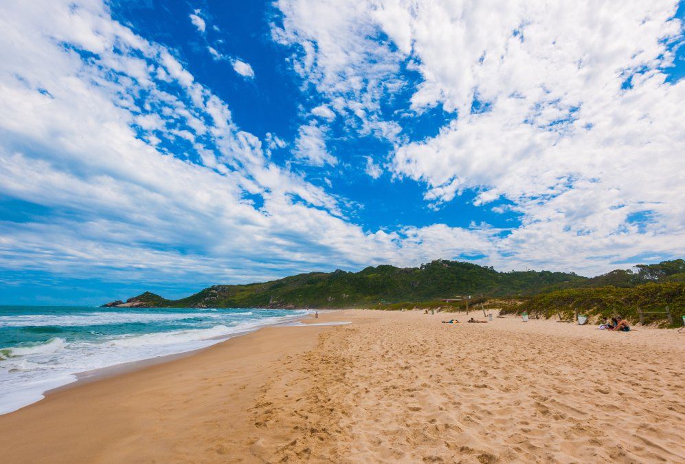 El mapa del IMA indica qué playas están afectadas por el brote de virosis. El mapa del IMA indica qué playas están afectadas por el brote de virosis.