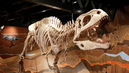 Para las próximas vacaciones la ciudad de Córdoba te propone una multiplicidad de actividades para disfrutar con los más pequeños de la familia.&nbsp;