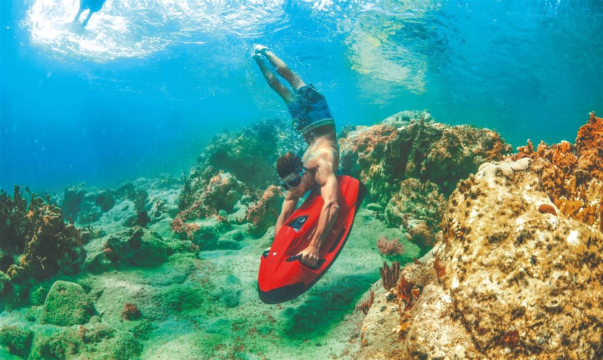 La propuesta por Florida contempla nadar con los manatíes, degustar una de las cervezas artesanales más exclusivas; y relajarse en un entorno natural.
