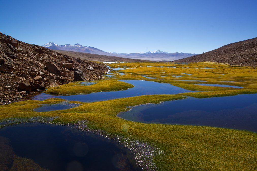 Atacama Paisajes Naturales Que Fascinan Al Viajero