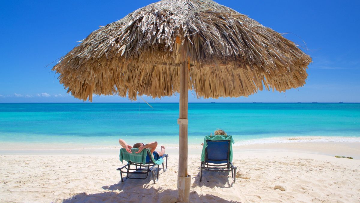 Vacaciones en Aruba: descubrí este famoso destino del Caribe y todos sus atractivos.&nbsp;