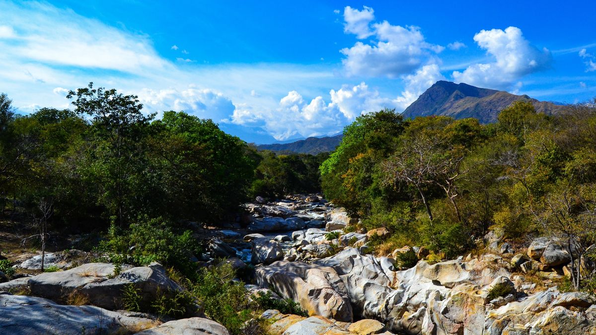 Valledupar es cultura, tradición y naturaleza; un destino que se revela distinto según la época en que lo visites.