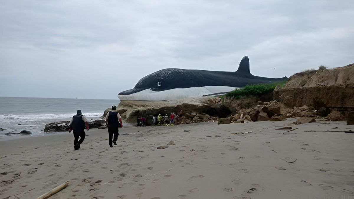 Playa Delfín es una de las zonas afectadas en la parroquia Data de Posorja, en Guayaquil. - Ladevi Medios y Soluciones Playa Delfín es una de las zonas afectadas en la parroquia Data de Posorja, en Guayaquil.