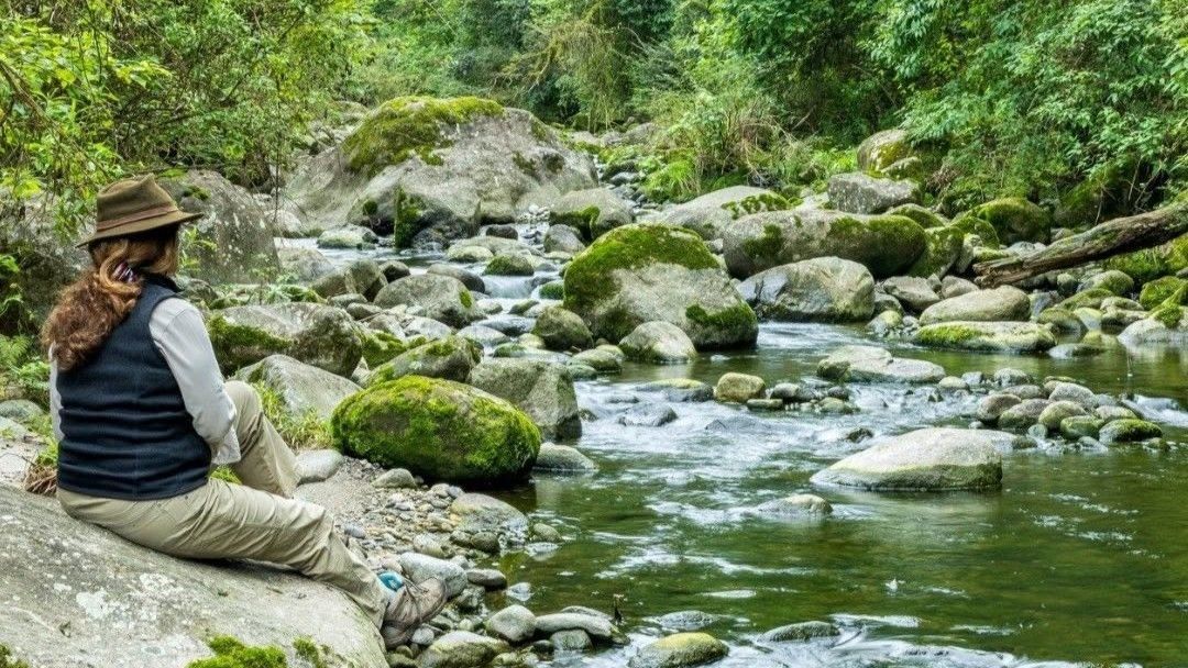 Vacacaciones de verano: el Parque Nacional Aconquija es una imponente área protegida de más de 70 mil ha.situada en el oeste de la provincia de Tucumán.