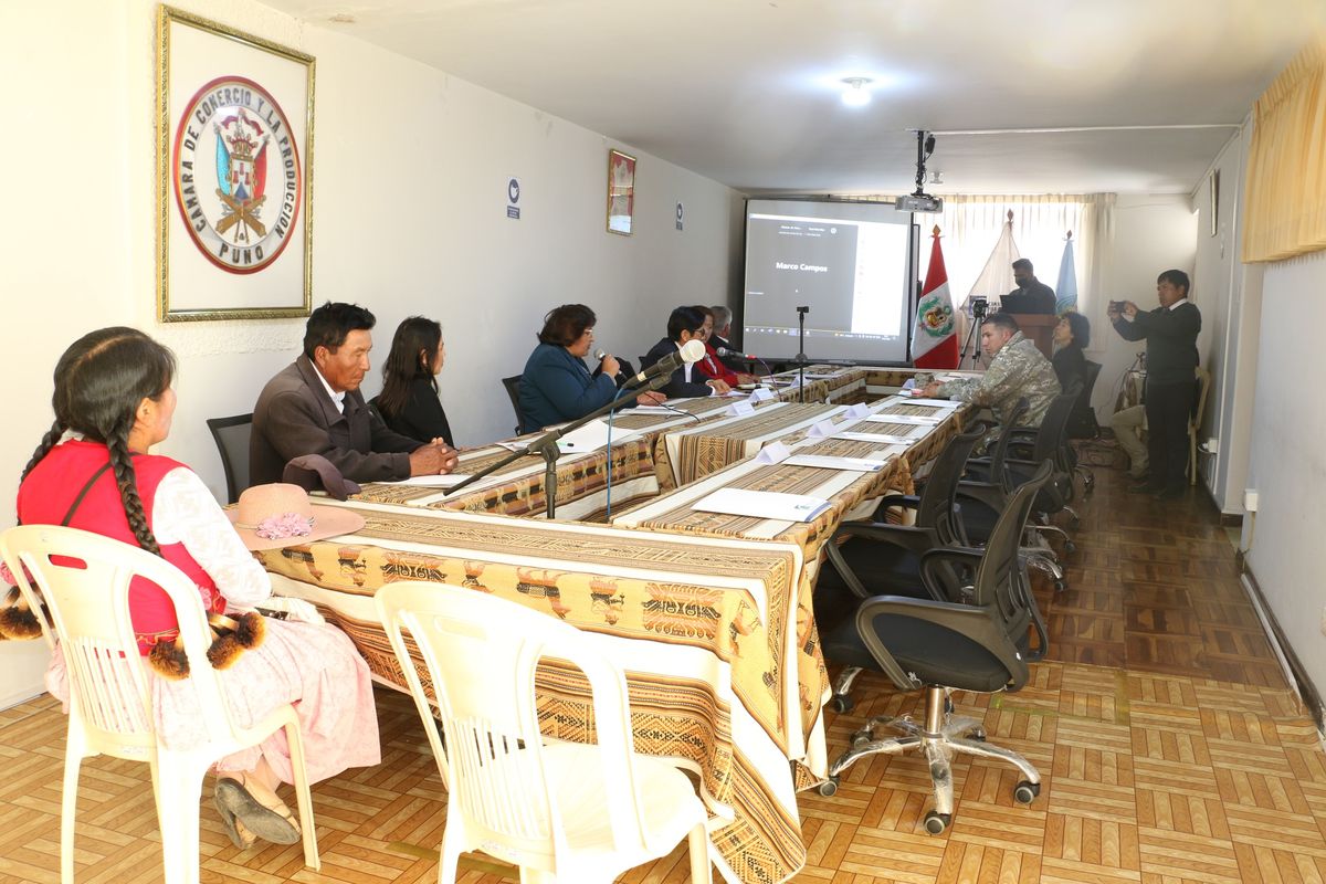 La Cámara de Comercio de Puno demanda la reapertura del aeropuerto. - Ladevi Medios y Soluciones La Cámara de Comercio de Puno demanda la reapertura del aeropuerto.
