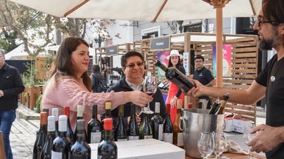 Vendimia Fest 2024: el evento espera recibir a más de 45 mil asistentes&nbsp;