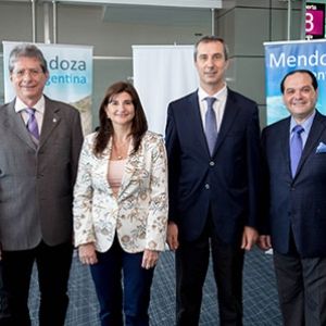 - Ladevi Medios y Soluciones